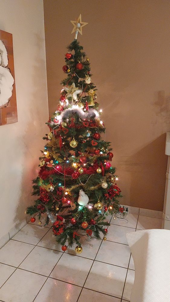 Sapin de No�l avec decoration 30 Amiens (80)