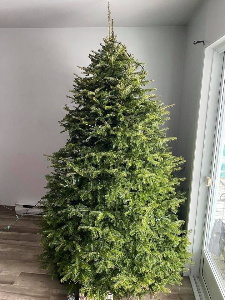 Sapin de no�l naturel 57 Marseille 6 (13)