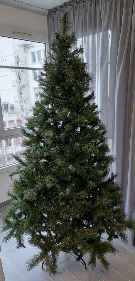 Sapin de Noel Truffaut
125 Courbevoie (92)
