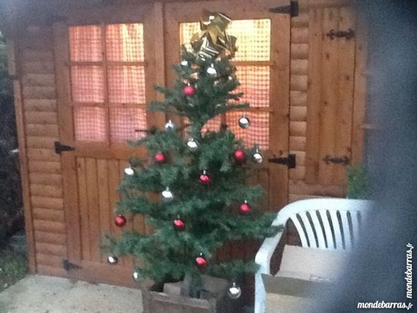 Sapin de No�l 15 Auxerre (89)