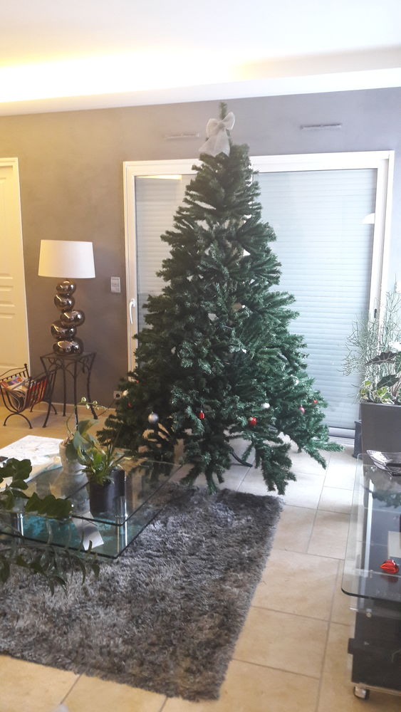 SAPIN DE NOEL 150 Saint-Doulchard (18)