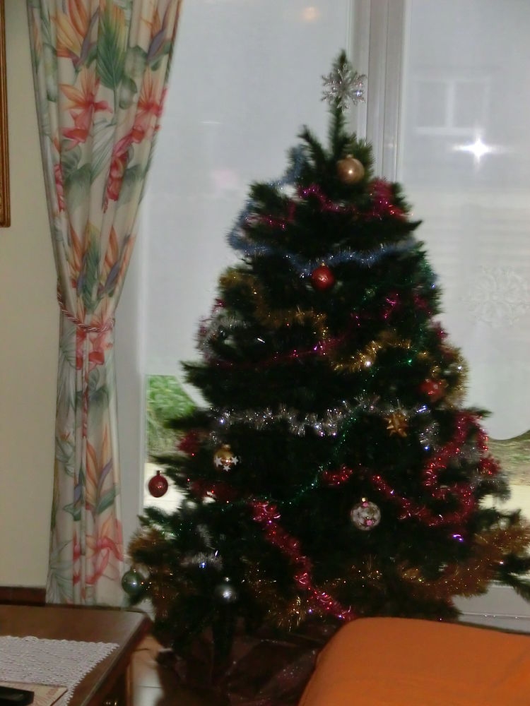 Sapin de No�l 25 Hennebont (56)