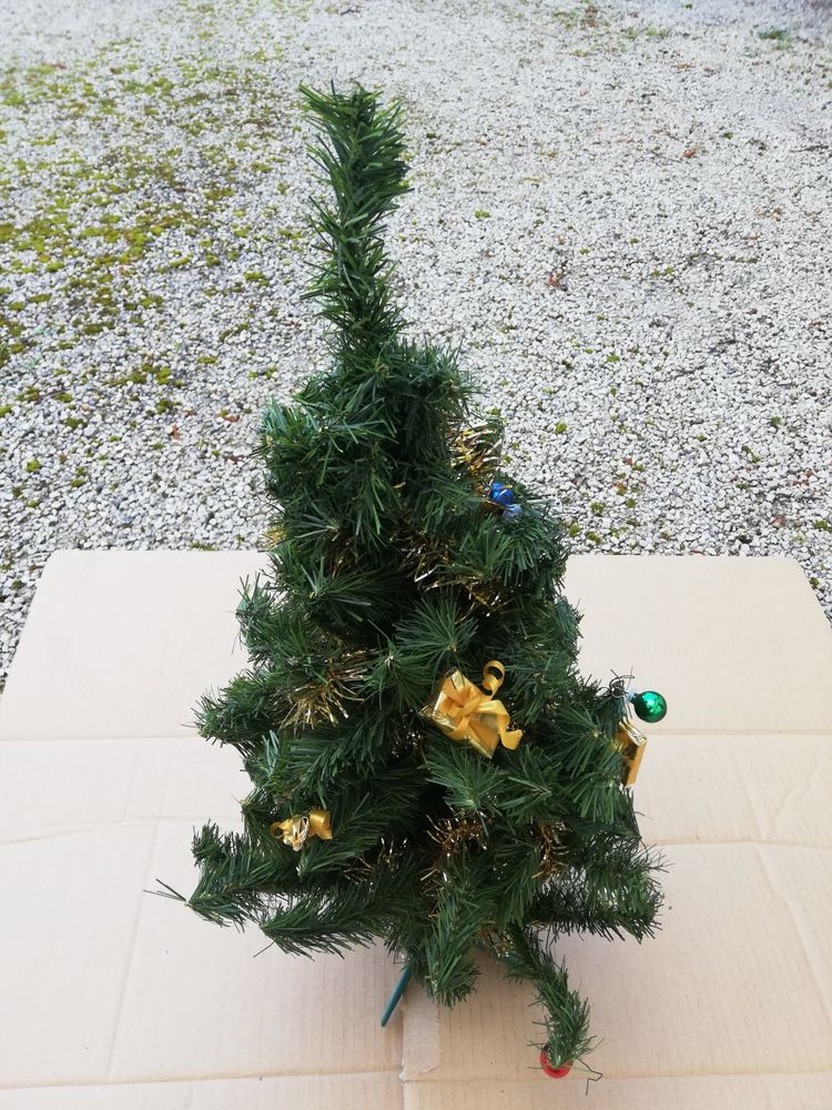 SAPIN DE NOEL
10 Castres (81)