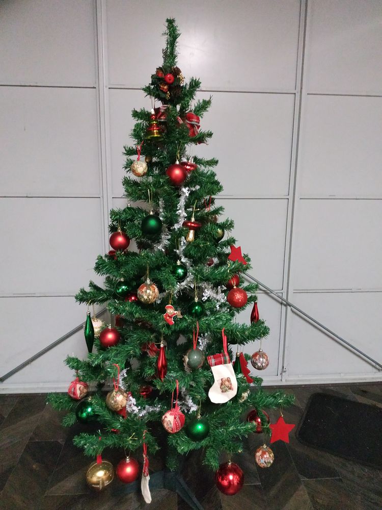 Sapin de No�l 40 Angers (49)