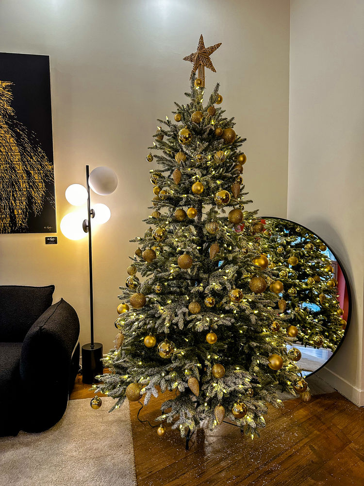 Sapin de No�l 
50 Bordeaux (33)