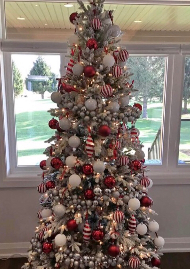 Sapin de No�l 425 Paris 6 (75)