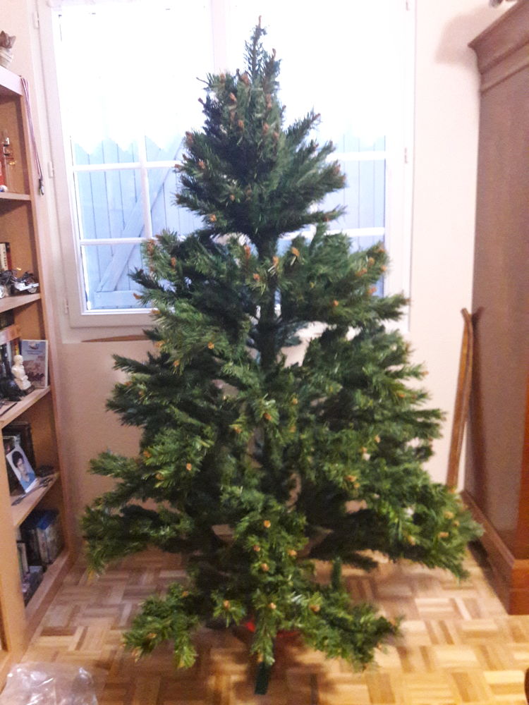 Sapin de Noel 100 Salou�l (80)