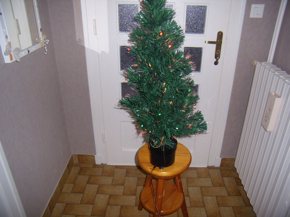 SAPIN 9 Saint-Romain-le-Puy (42)