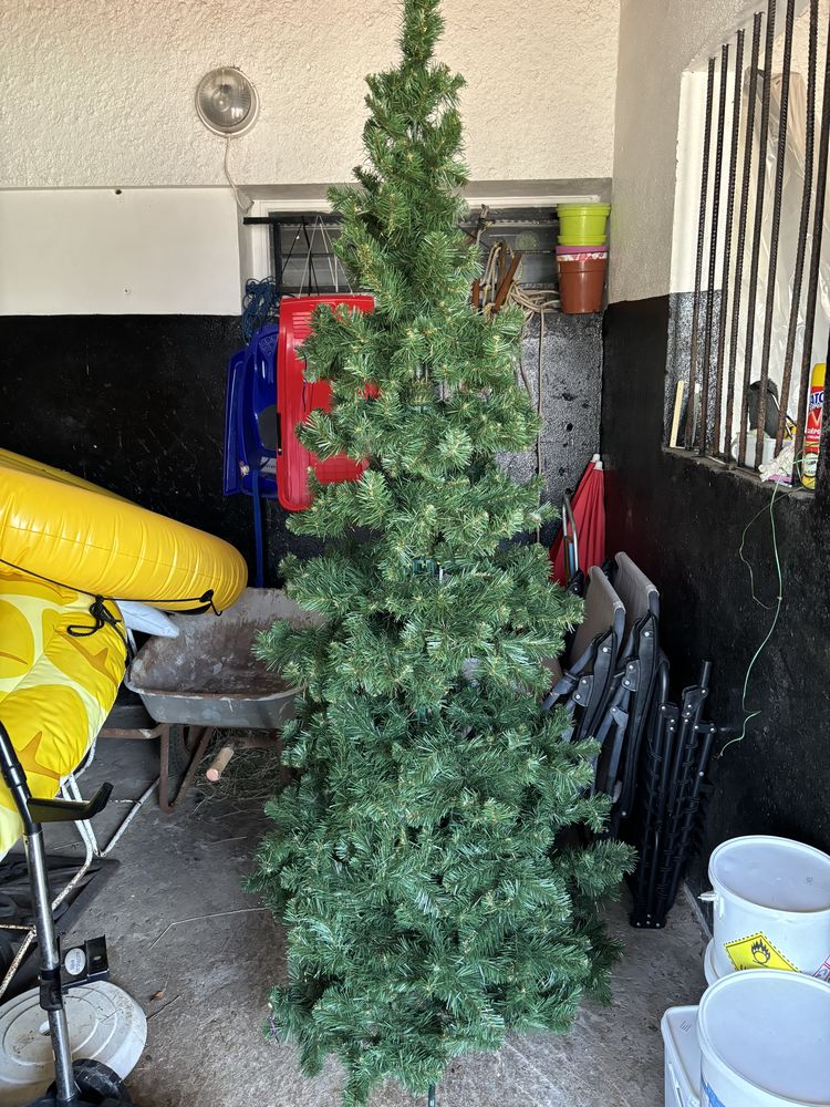 Sapin 20 �taules (21)