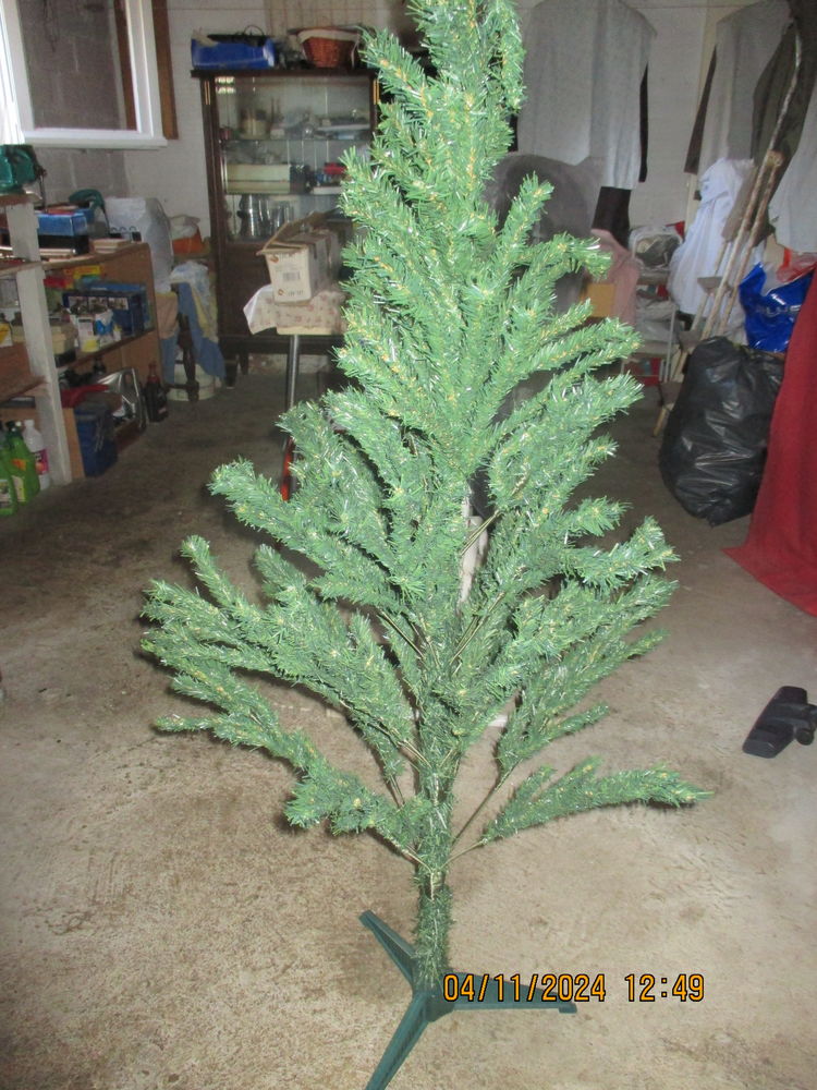 sapin 10 Pamiers (09)