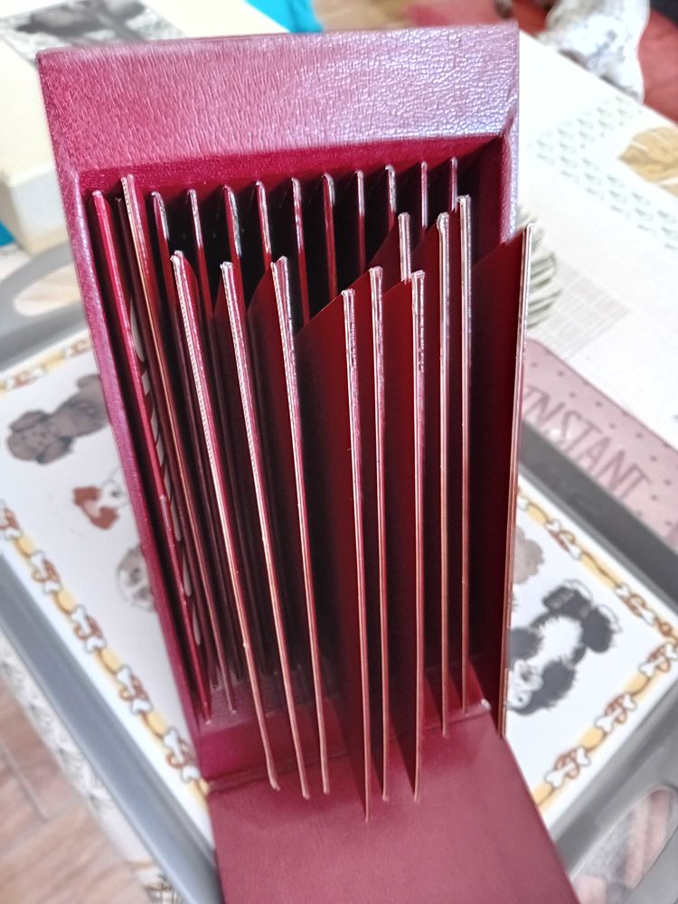 CD Sardou 50 Hondschoote (59)