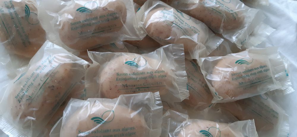 savon exfoliant aux algues forme galet - 50gr 0 Paris 14 (75)