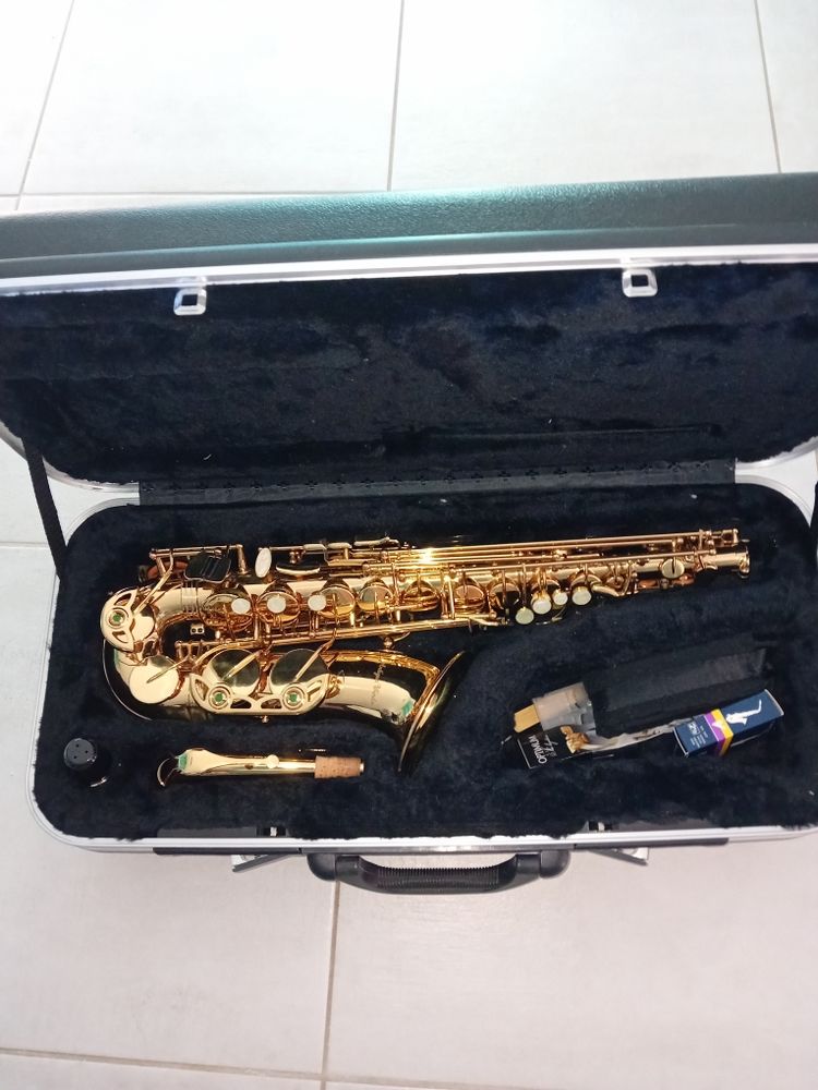saxophone alto antigua winds 600 Plaisance-du-Touch (31)