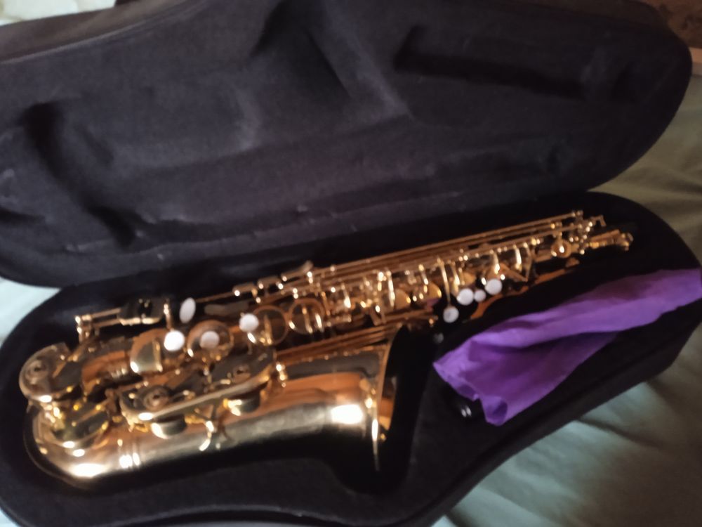 Saxophone alto startone 150 Collobrières (83)