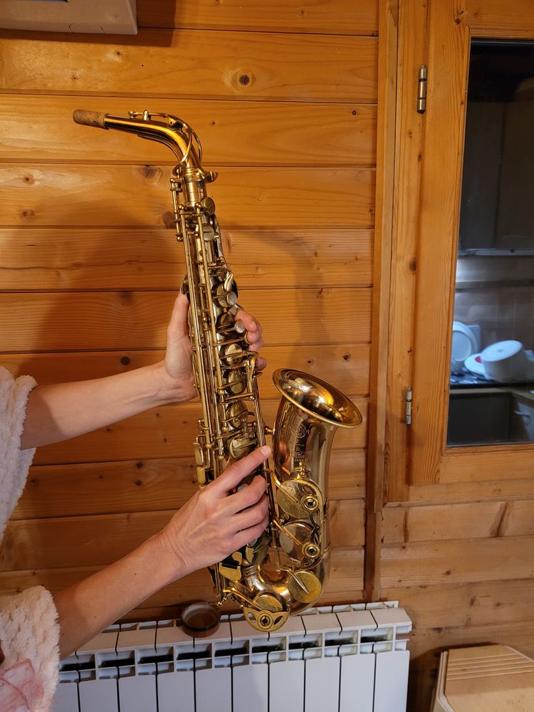 Saxophone alto super action série 2 0 Ménerbes (84)