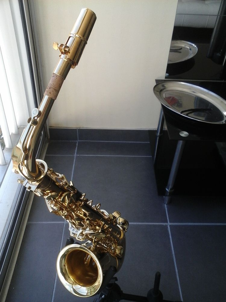 Saxophone Alto 300 Gruissan (11)