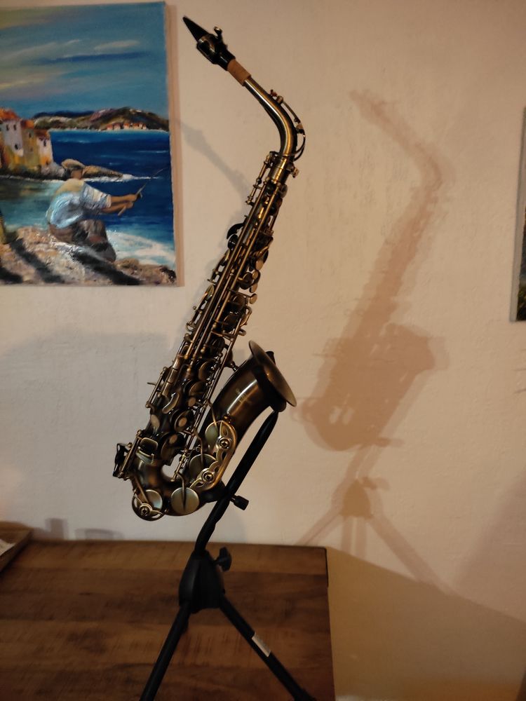 Saxophone alto 100 Marseille 6 (13)