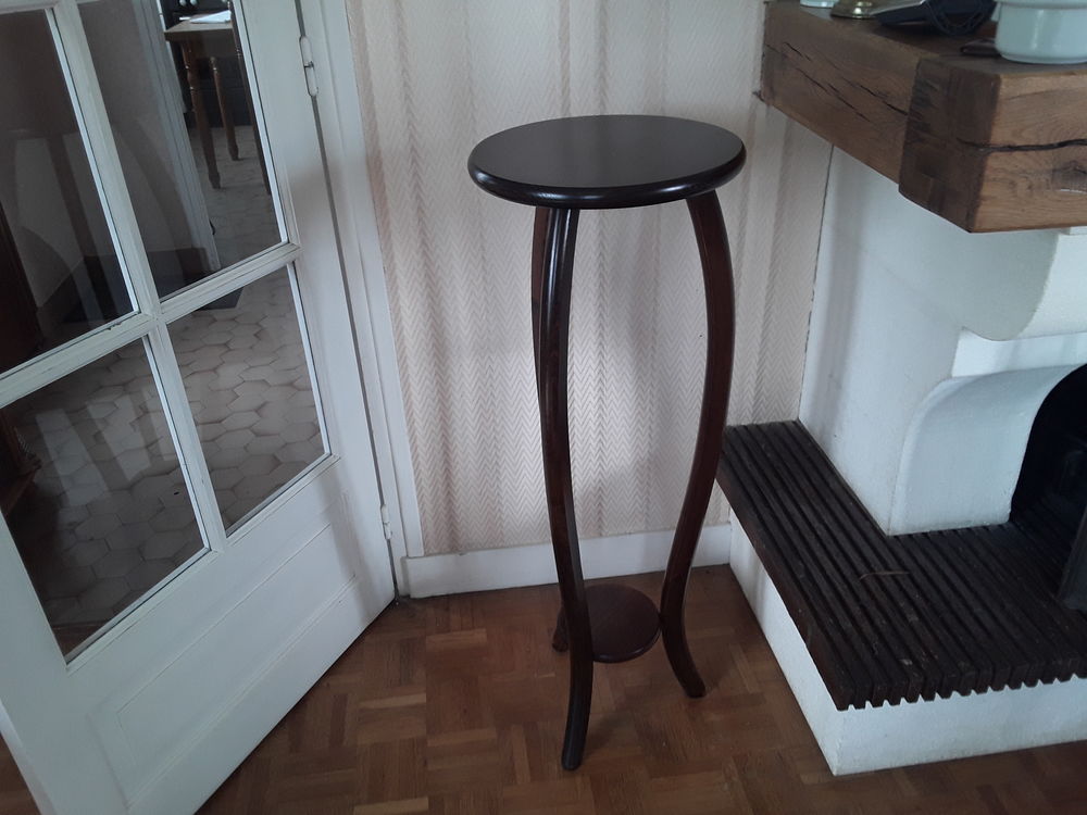 Scelette 15 Buxerolles (86)