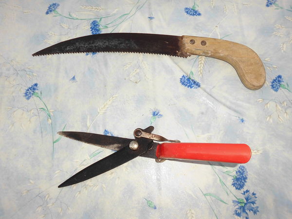 SCIE A BRANCHES ET CISEAU 10 Puget-sur-Argens (83)