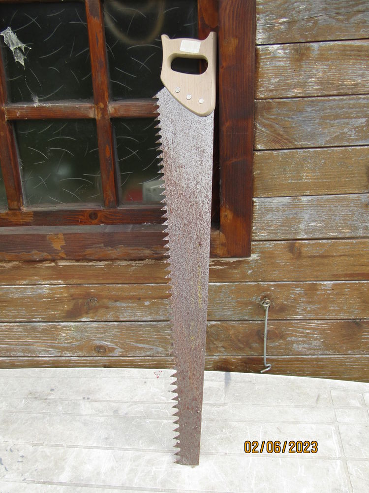 Scie �go�ne.
20 Tr�guier (22)