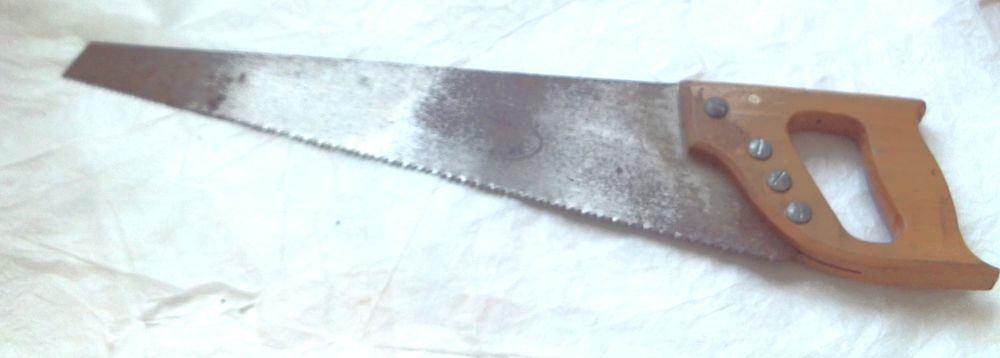 scie �go�ne 4 6 Villeurbanne (69)