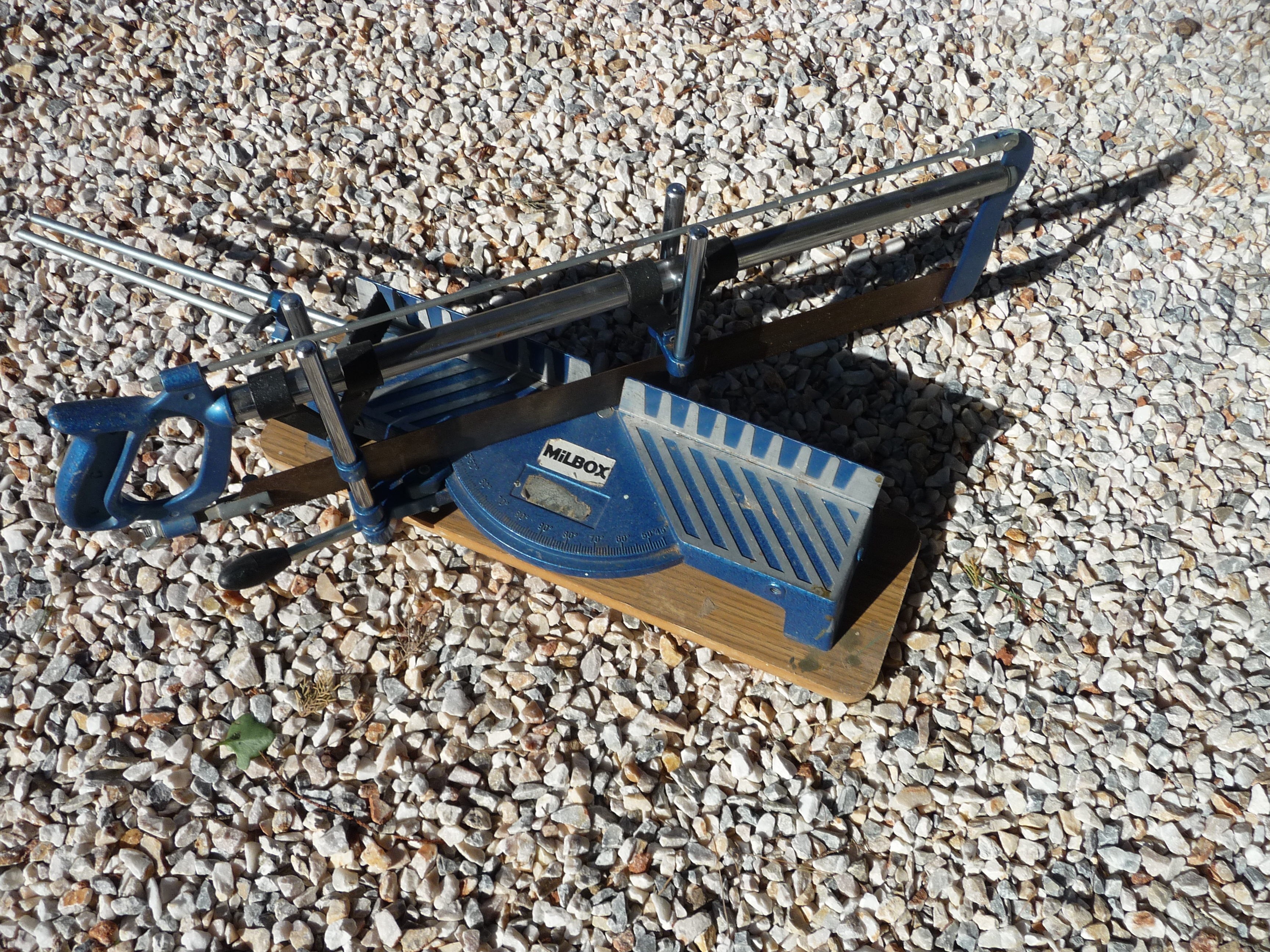 scie � onglet 0 Leucate (11)