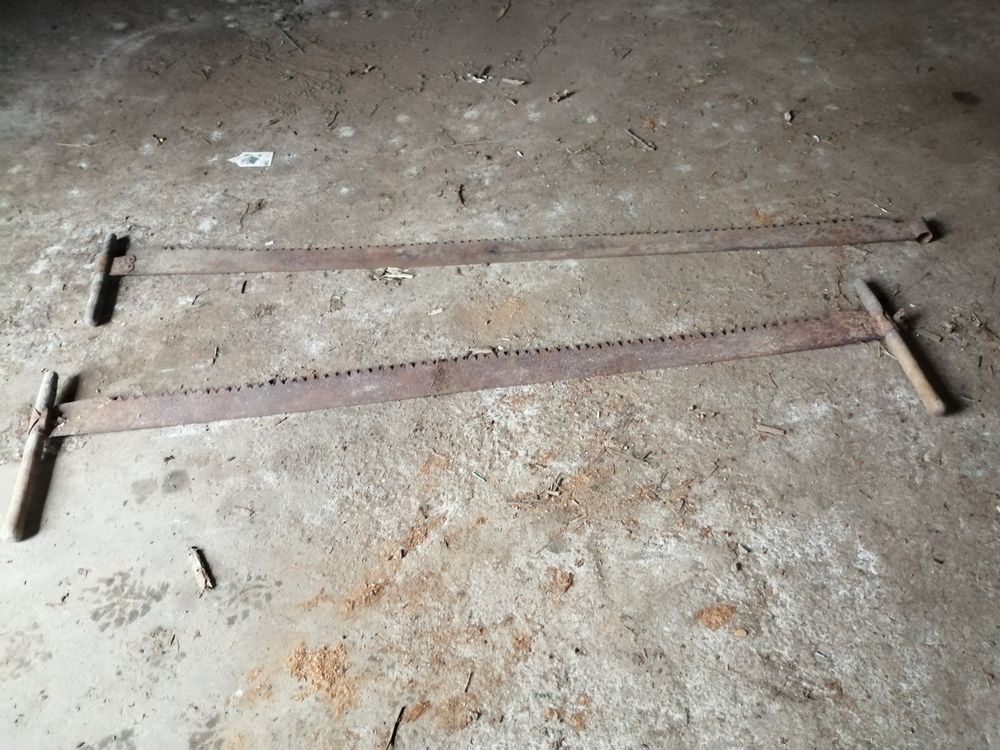 Scie passe partout 10 Landudec (29)