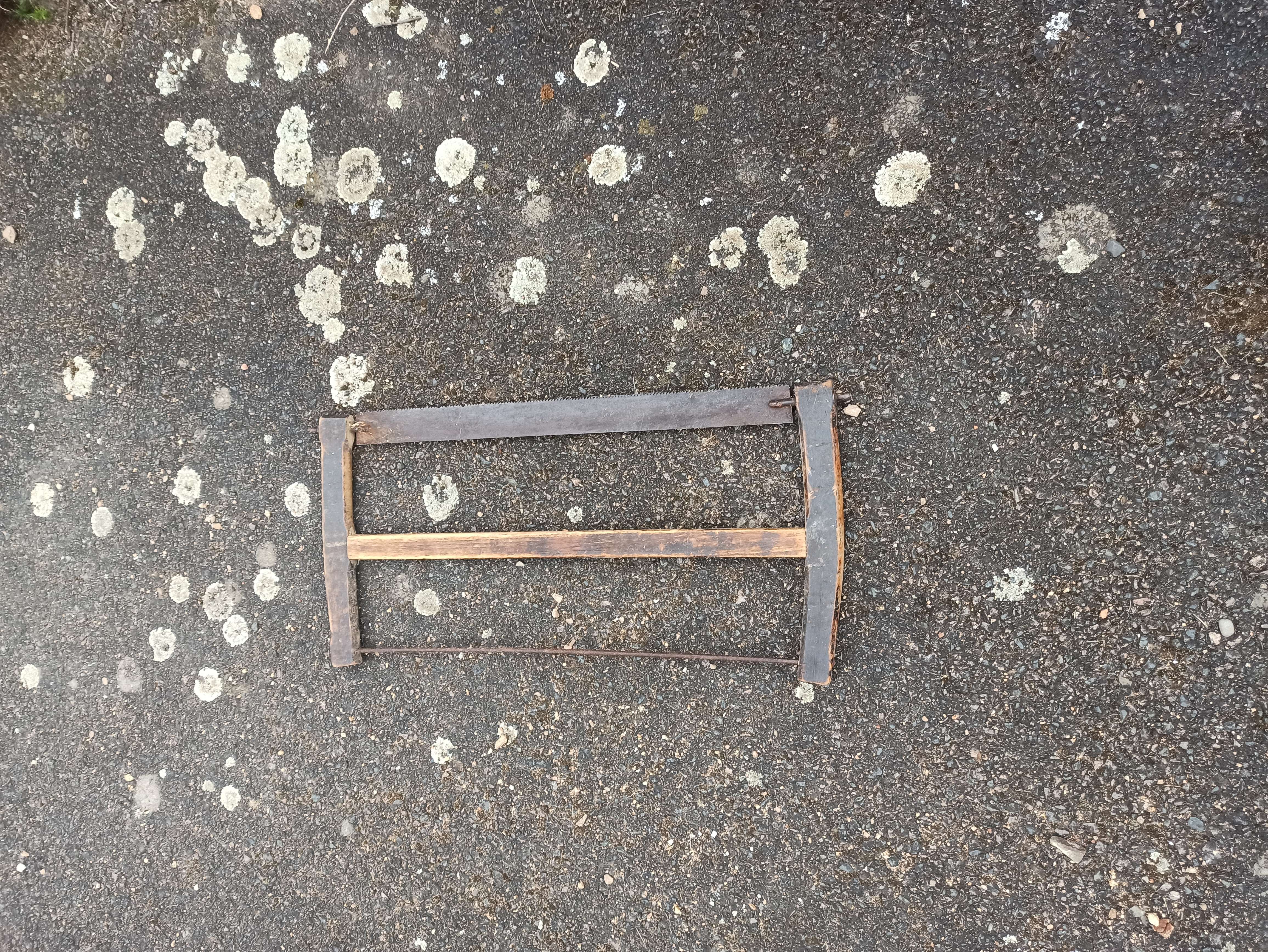 Scie 5 St Just Sur Loire (42)