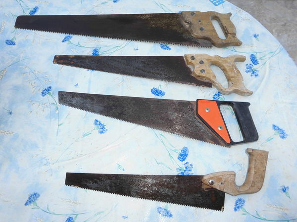 UN LOT DE SCIES A BOIS ET SIPOREX 15 Puget-sur-Argens (83)