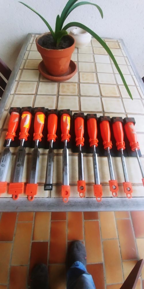 Sciseaux Bois 220 Caudrot (33)