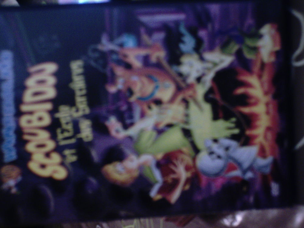 Scoubidou et l'�cole des Sorci�res 5 Villeneuve-sur-Yonne (89)