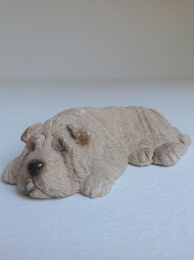SCULPTURE CHIEN SHAR PEI SANDICAST USA Envoi Possible
12 Tr�gunc (29)