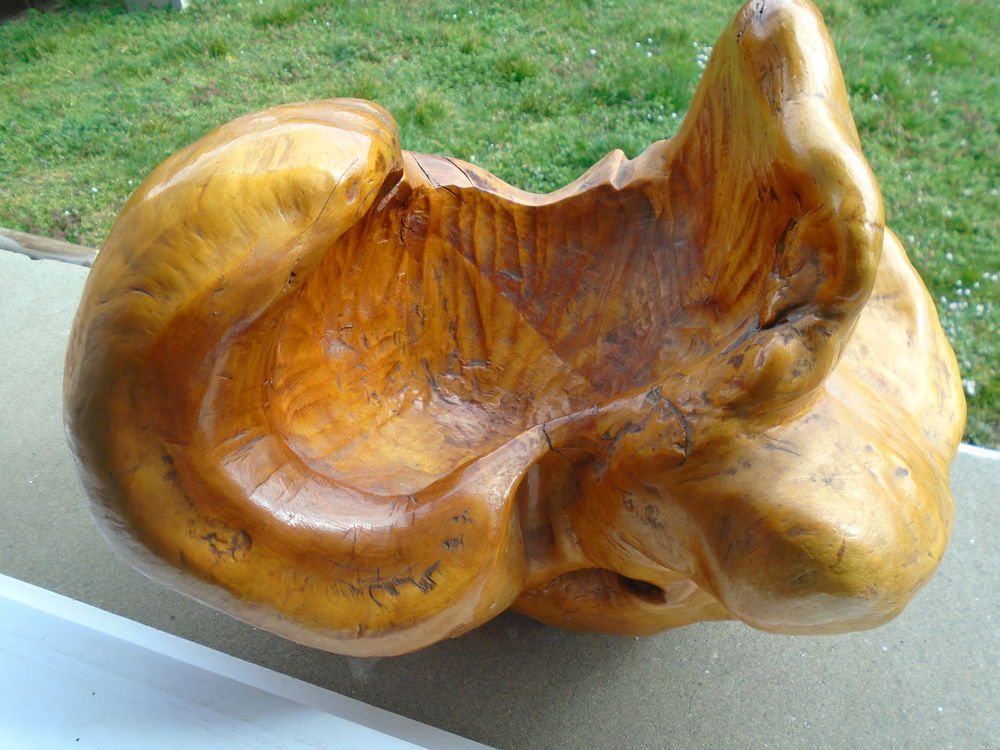 SCULTURE BOIS CHINOISE - GENRE CHAMPIGNON VIDE POCHE 145 Crissey (71)