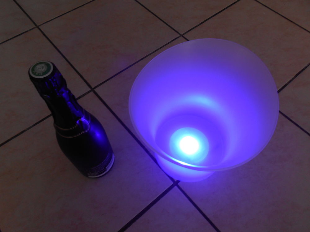 SEAU A CHAMPAGNE 20 Chevigny-Saint-Sauveur (21)