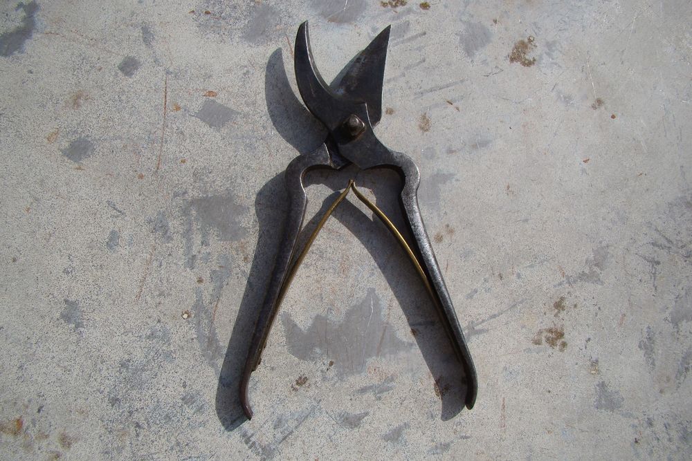 S�cateur ancien ressort � lames en laiton Ancelin vers 1900 40 Gargenville (78)