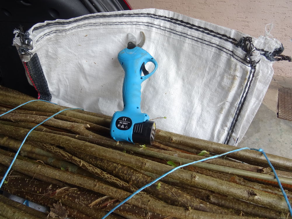 SECATEUR ELECTRIQUE 45 �tupes (25)