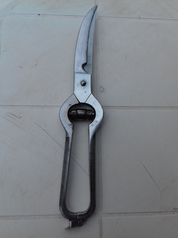 s�cateur � viande 3 Arles (13)