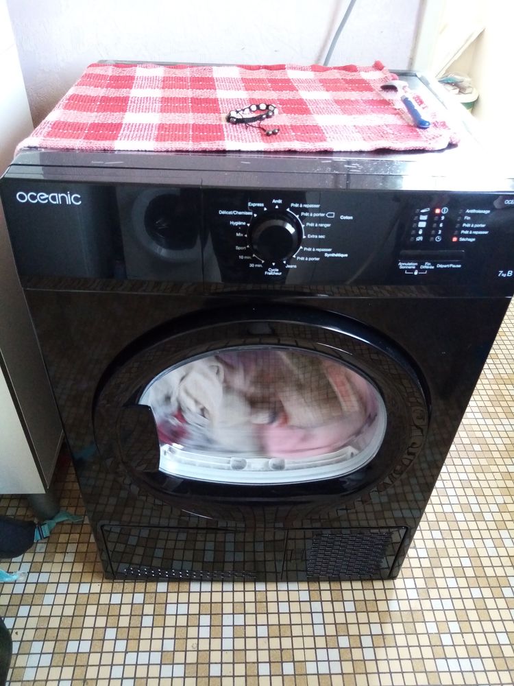 S�che linge condensation 170 Dijon (21)