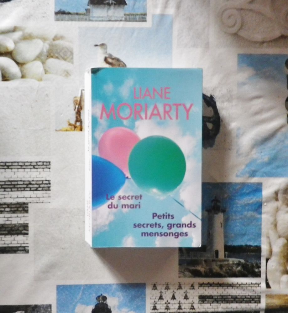LE SECRET DU MARI et PETITS SECRETS, GRANDS MENSONGES 3 Bubry (56)