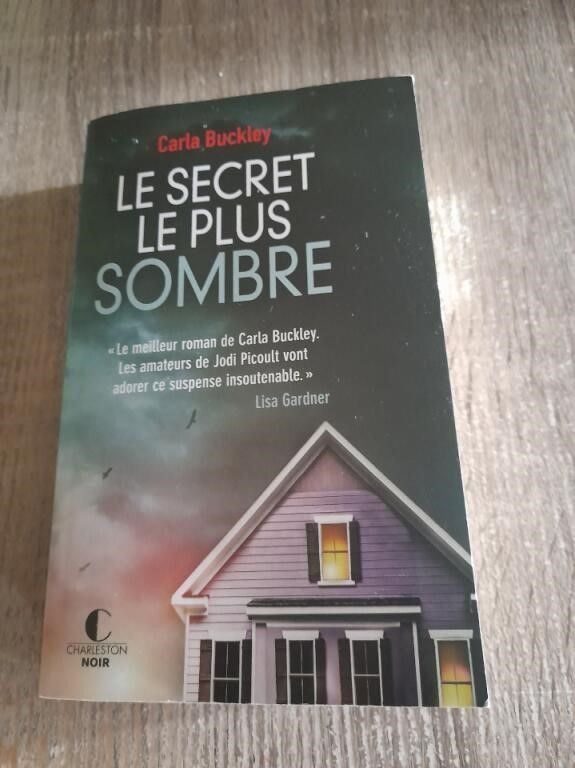 Le secret le plus sombre 4 Tours (37)
