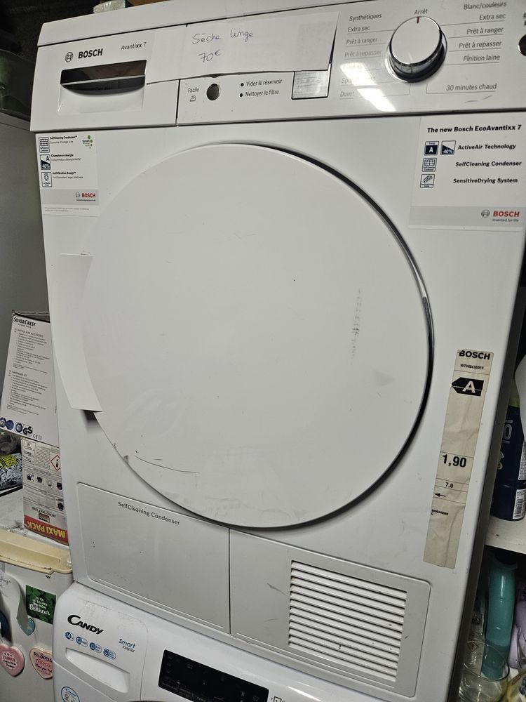 Seiche linge 70 Sigean (11)