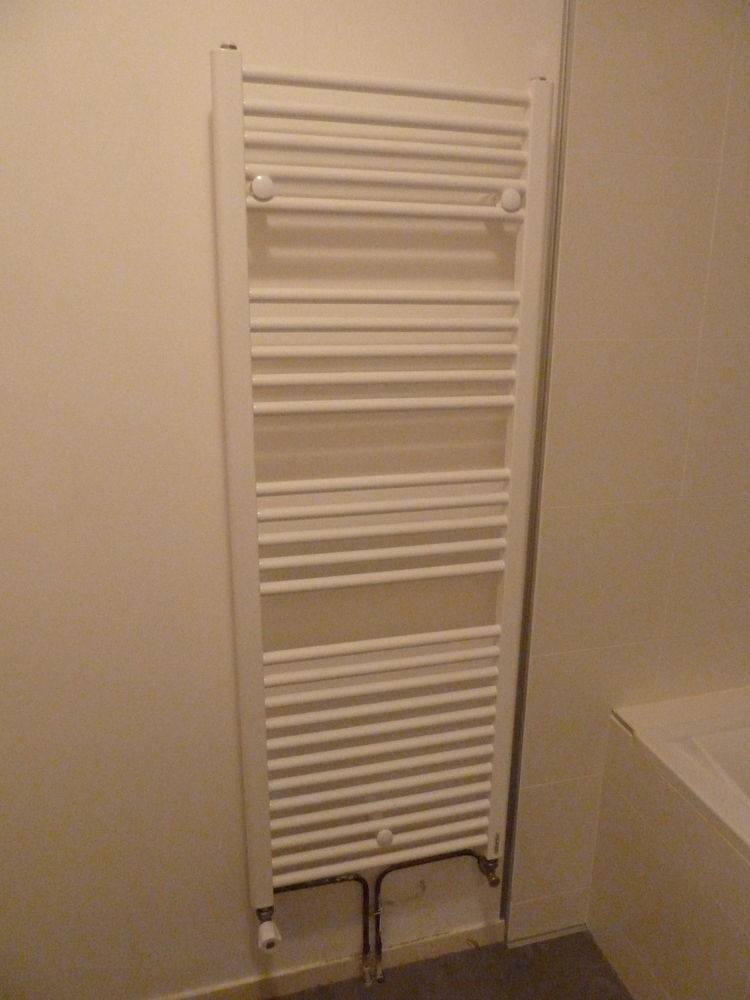 Seiche serviette (�tat neuf) 72 Rennes (35)