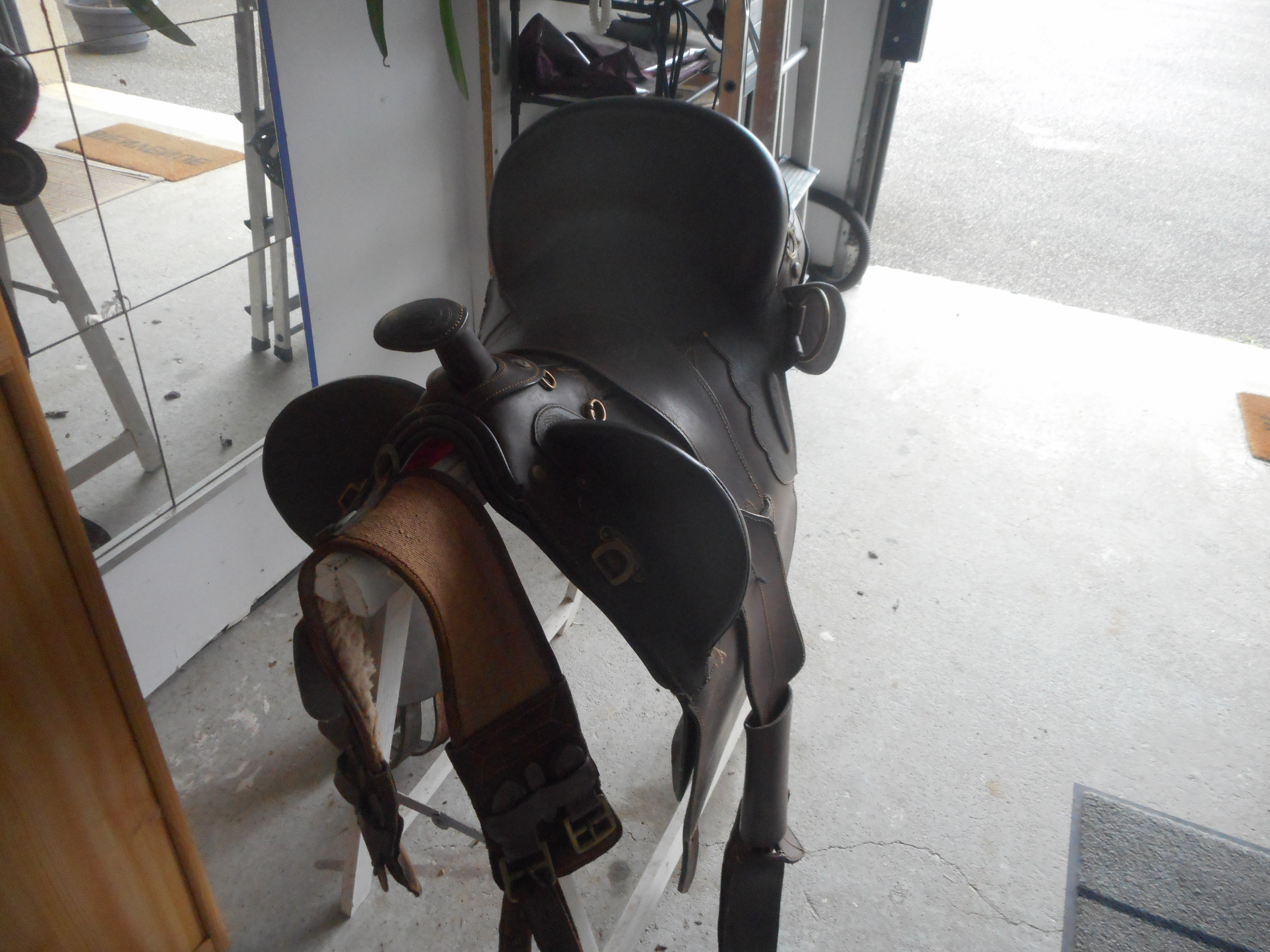 selle australienne 150 Saint-Meslin-du-Bosc (27)