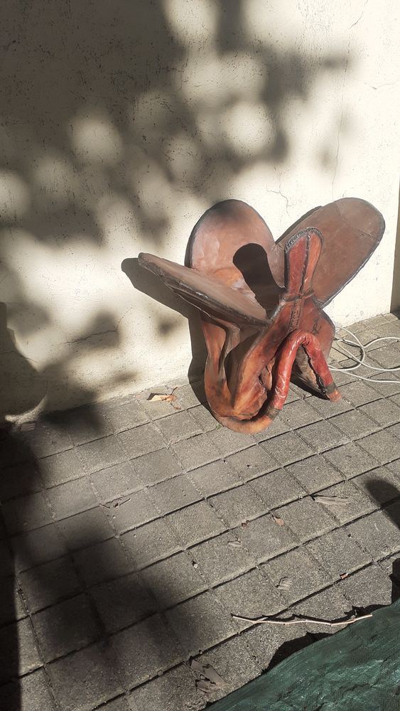 une selle de chameau 30 Manduel (30)