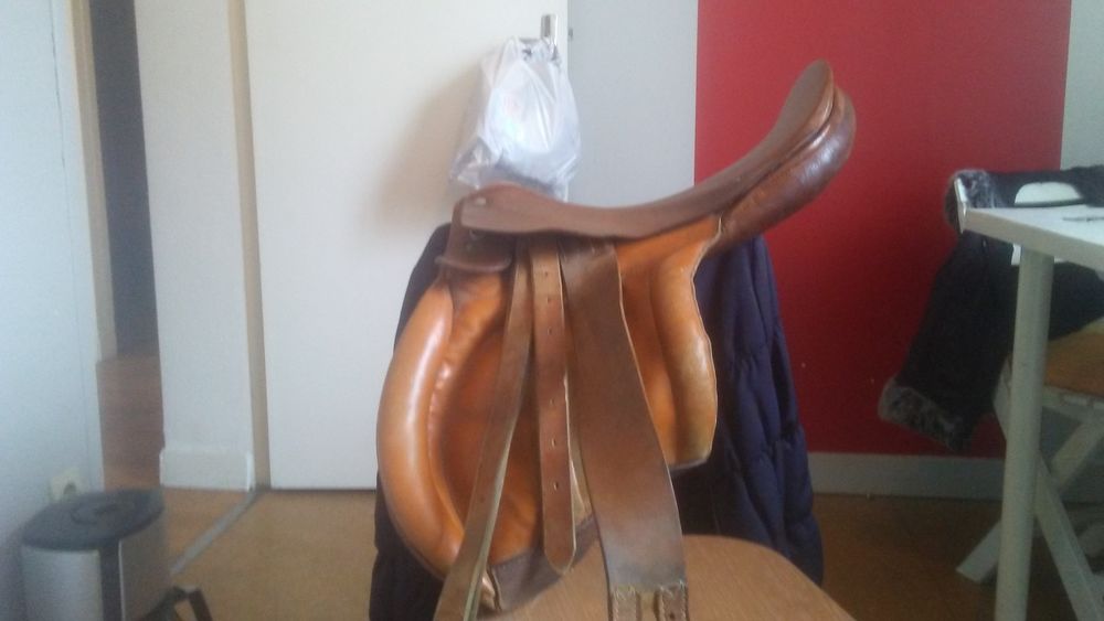 Selle de cheval 0 Saumur (49)