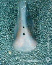 SELLE EN CUIR POUR  VELO 10 Le Creusot (71)