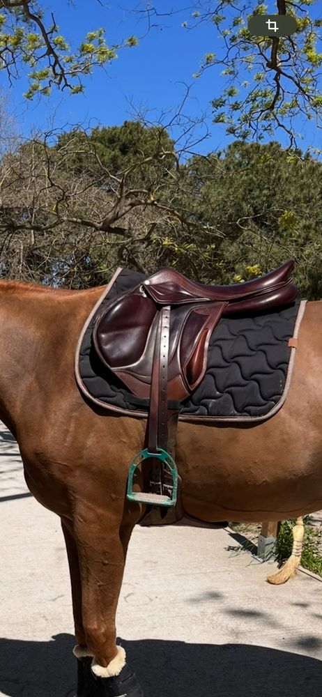 Selle Devoucoux Chiberta Lab 17'5 0 La Grande-Motte (34)