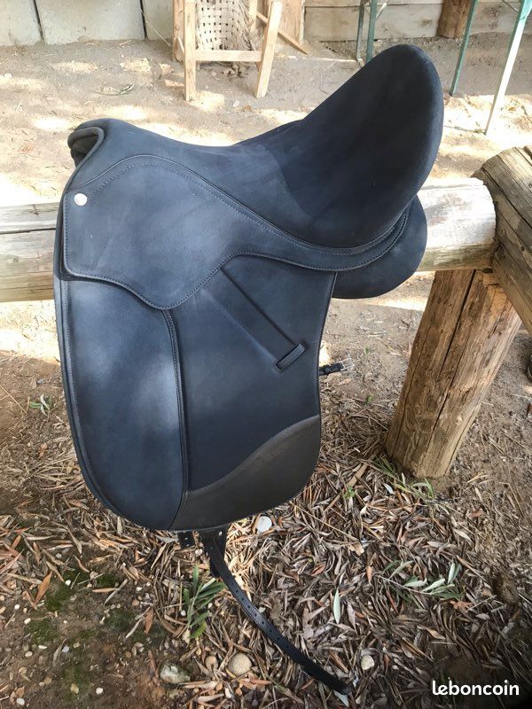 Selle dressage Wintec Isabell Werth Cair 16,5
875 Nice (06)