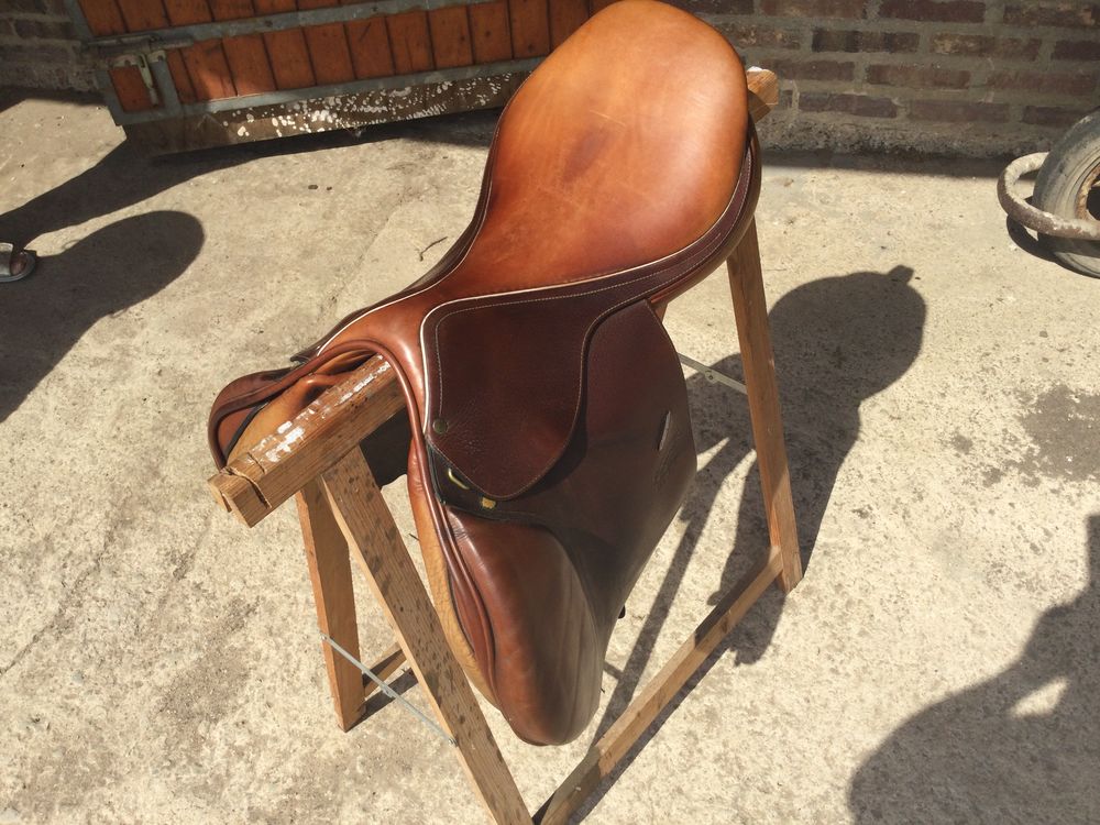 Selles �quitations 200 Saint-Martin-de-Boscherville (76)