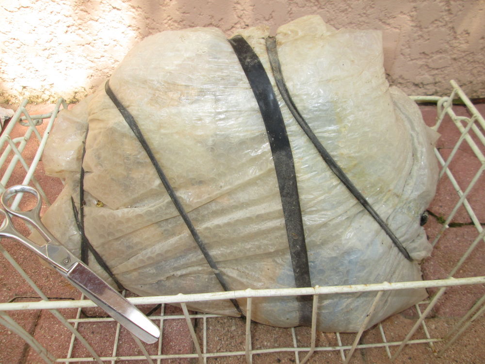 Septaria 70 Fr�jus (83)